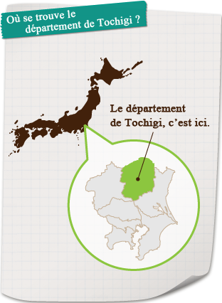 Où se trouve le département de Tochigi ?